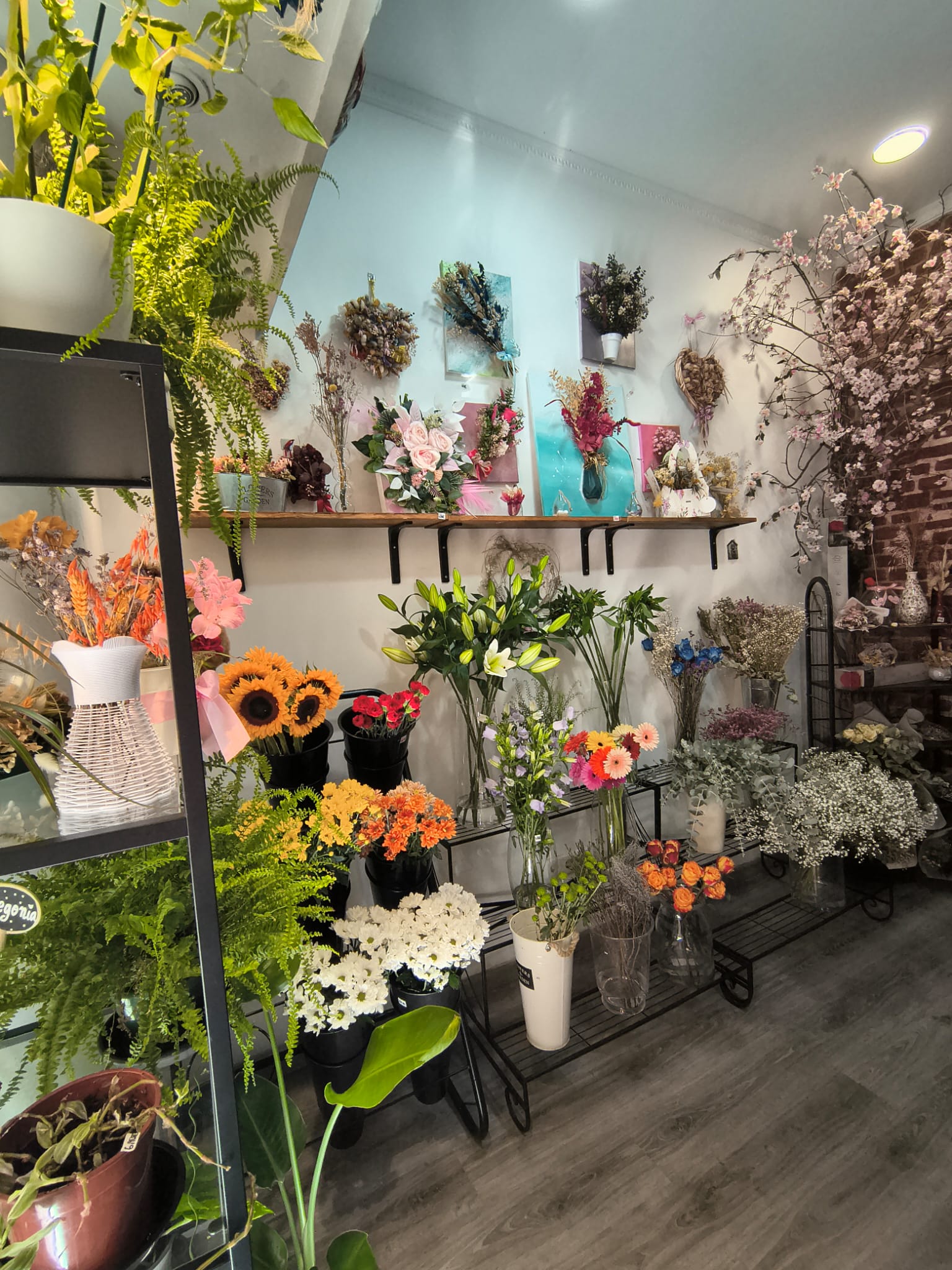 Interior de la tienda